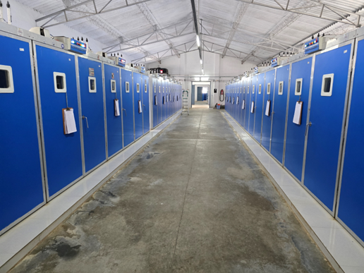 Hatchery setter hall with rows of incubator setter cabinets at Kasthuri Breeding Farms