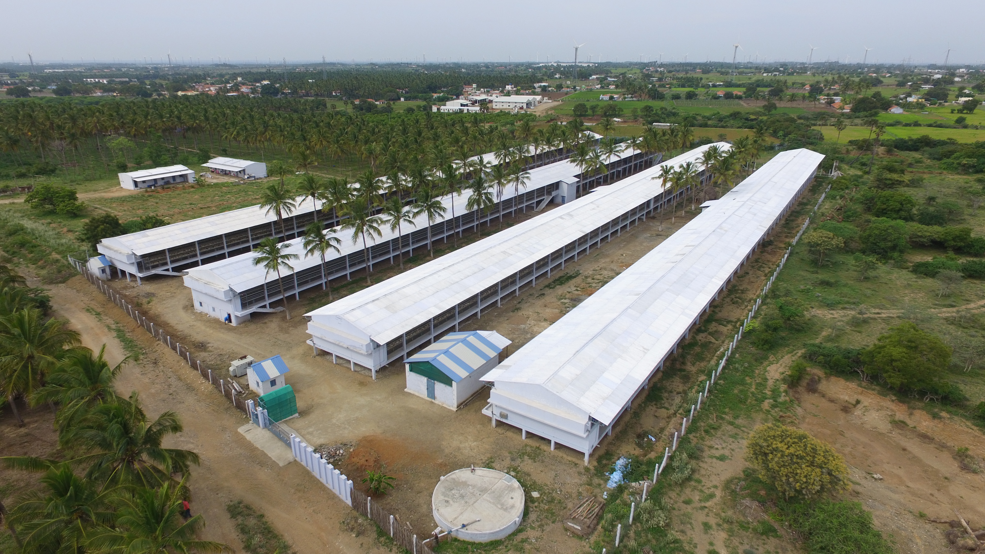 Aerial view of the Kasthuri Breeding Farms contract broiler breeder complex at Palladam Puliampatti, Tiruppur District