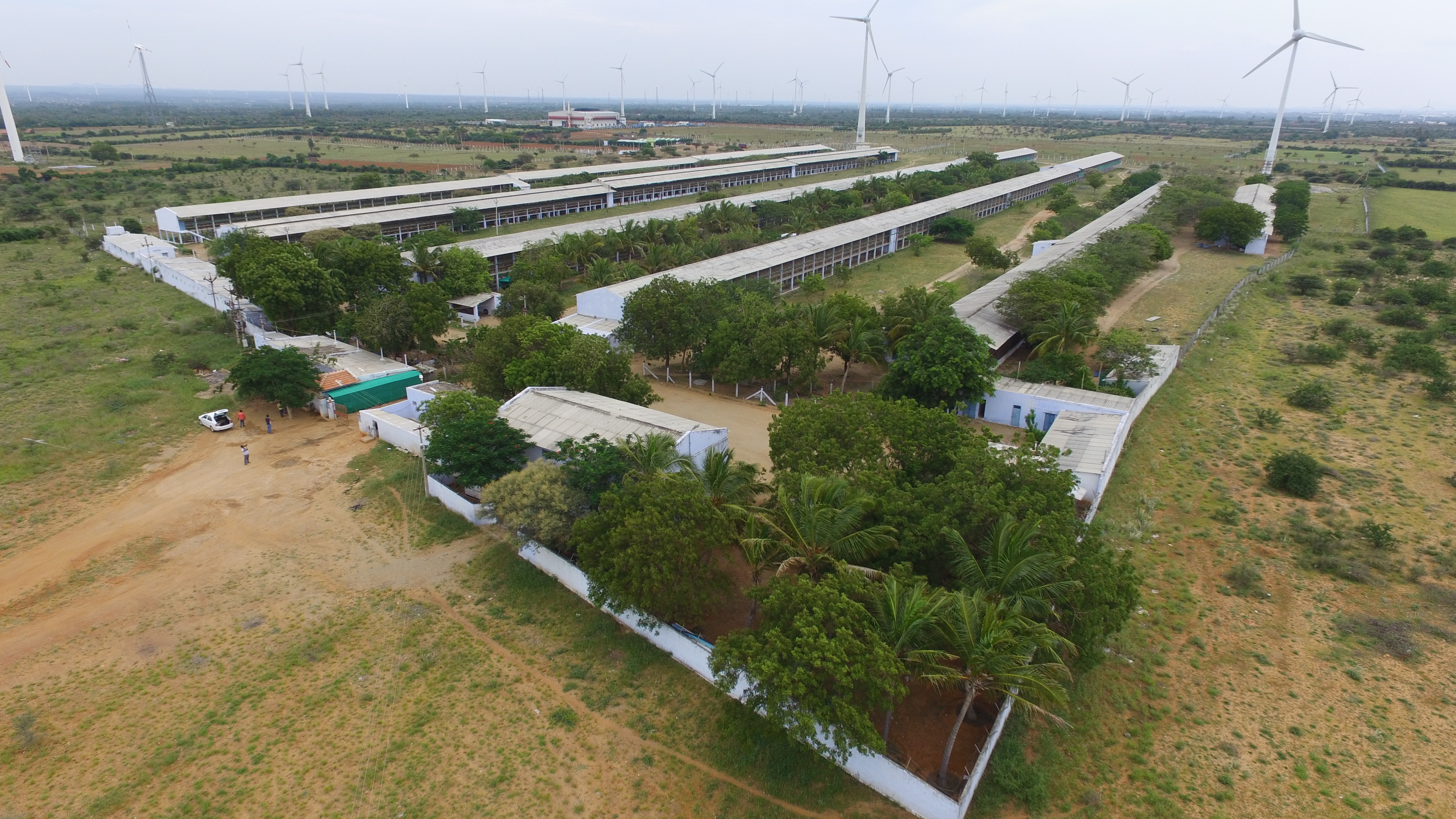 Aerial view of the Kasthuri Breeding Farms contract broiler breeder complex at Chathiram Village, Tiruppur District